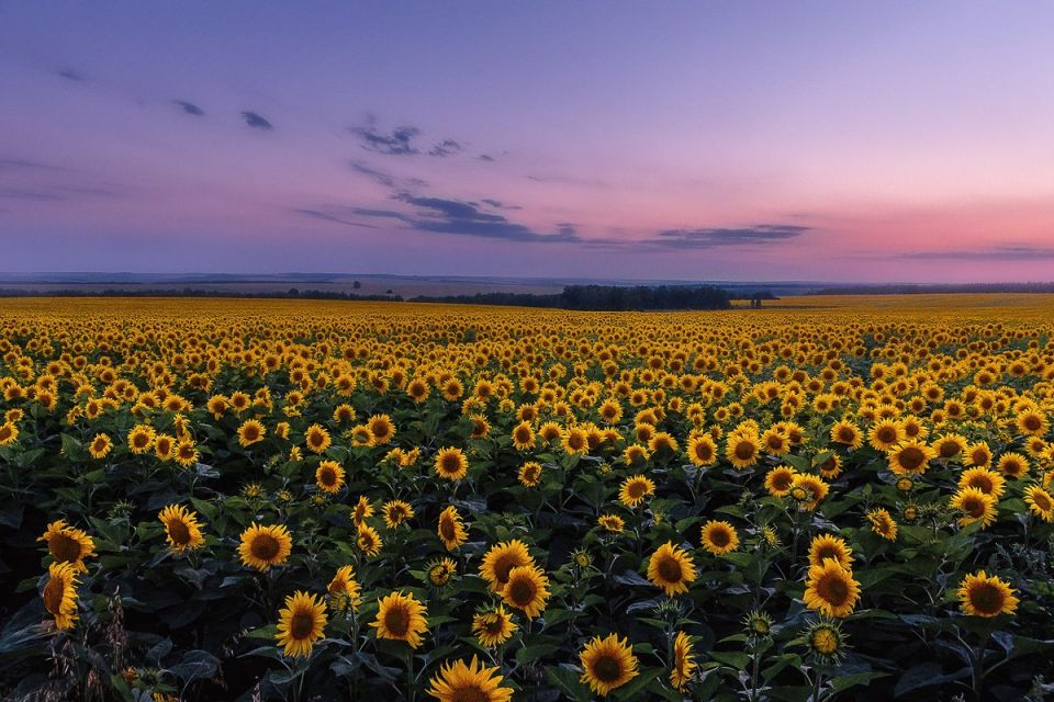 Гумат мультикомплекс