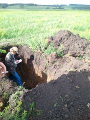 Глубокий анализ почвы